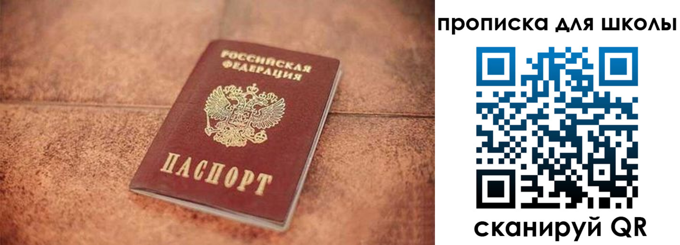 купить прописку в Калининграде